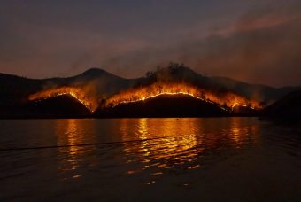 Incendi: l'emergenza climatica aumenta e i boschi sono in fiamme