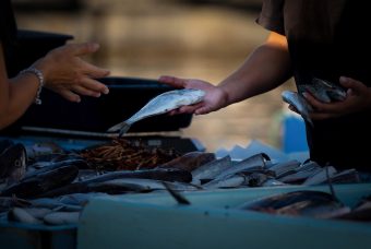 La pandemia di COVID? È partita dagli animali del mercato di Wuhan: lo dice un nuovo studio