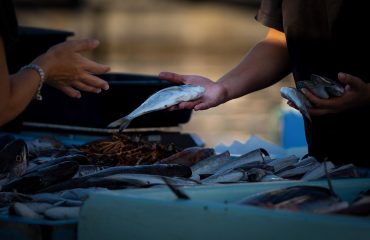 fish-market-7519944_1280