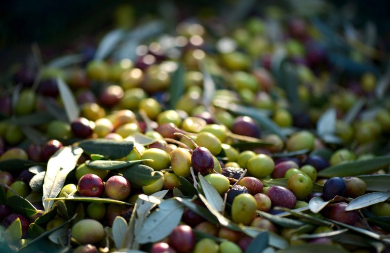 olives-253264_1280