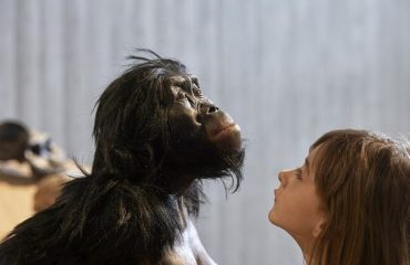 Australopithecus_afarensis