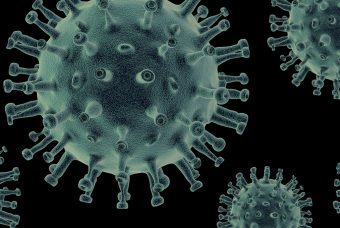 Virus influenza aviaria: una sola mutazione lo rende trasmissibile all'uomo