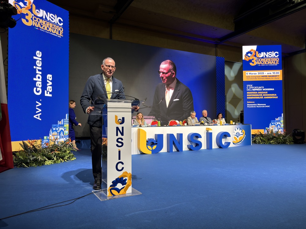 Gabriele Fava, Presidente INPS